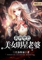 我的绝色美女明星老婆