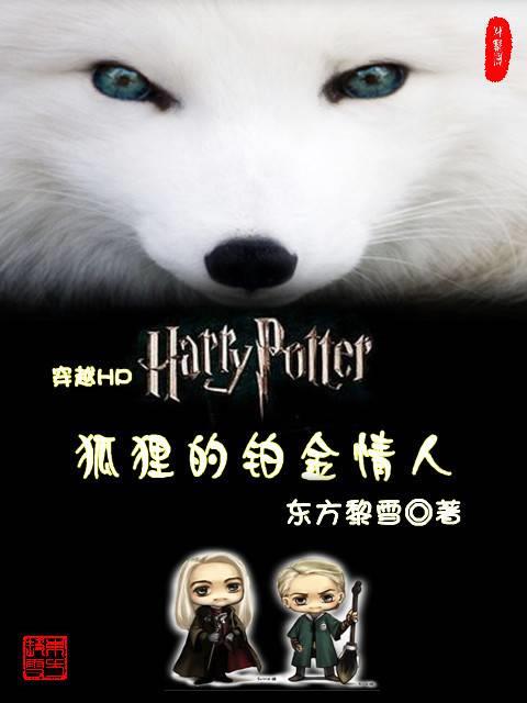 狐狸的铂金情人